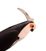 outil de mixologie limonadier perroquet